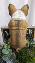 Load image into Gallery viewer, French bulldog puppy dog lifelike resin indoor outdoor railing, fence or pot hangers  | bulldog puppy dog lover&#39;s gift