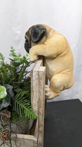 Pug puppy dog lifelike resin indoor outdoor railing, fence or pot hangers  | pug puppy dog lover's gift