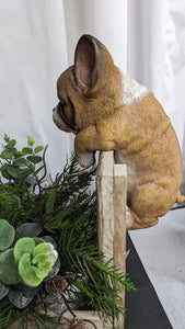 French bulldog puppy dog lifelike resin indoor outdoor railing, fence or pot hangers  | bulldog puppy dog lover's gift