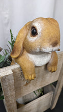 Load image into Gallery viewer, Baby bunny rabbit lifelike resin indoor outdoor railing fence hanger rabbit lover&#39;s gift