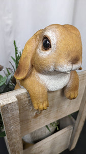 Baby bunny rabbit lifelike resin indoor outdoor railing fence hanger rabbit lover's gift