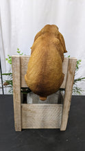 Load image into Gallery viewer, Baby bunny rabbit lifelike resin indoor outdoor railing fence hanger rabbit lover&#39;s gift