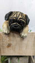 Load image into Gallery viewer, Pug puppy dog lifelike resin indoor outdoor railing, fence or pot hangers  | pug puppy dog lover&#39;s gift