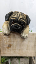 Load image into Gallery viewer, Pug Dog lifelike resin indoor outdoor fence hangers  Pug lover&#39;s gift