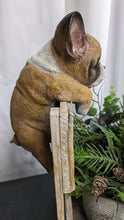 Load image into Gallery viewer, French bulldog puppy dog lifelike resin indoor outdoor railing, fence or pot hangers  | bulldog puppy dog lover&#39;s gift