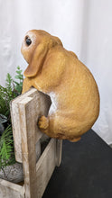 Load image into Gallery viewer, Baby bunny rabbit lifelike resin indoor outdoor railing fence hanger rabbit lover&#39;s gift