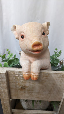 Baby pig piglet lifelike resin indoor outdoor railing fence hanger pig lover's gift