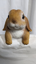 Load image into Gallery viewer, Baby bunny rabbit lifelike resin indoor outdoor railing fence hanger rabbit lover&#39;s gift