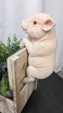 Load image into Gallery viewer, Baby pig piglet lifelike resin indoor outdoor railing fence hanger pig lover&#39;s gift