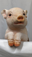 Load image into Gallery viewer, Baby pig piglet lifelike resin indoor outdoor railing fence hanger pig lover&#39;s gift