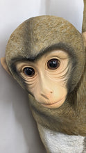 Load image into Gallery viewer, Lifelike Resin Indoor Outdoor Unique Decor Monkey Lover&#39;s Gift