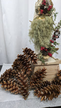 Load image into Gallery viewer, Large Pinecones from White pine for DIY holiday designs