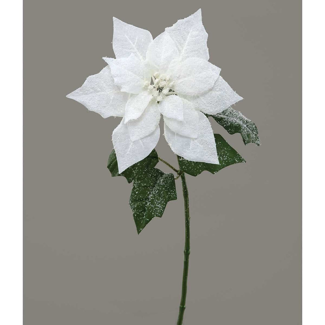 White snowy poinsettia stem pick 24