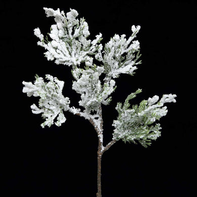 Sprayed snow conifer pine spray pick 12