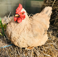 Load image into Gallery viewer, Discounted Brown Hen chicken large and lifelike resin indoor outdoor AS IS Hen lover&#39;s gift