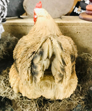 Load image into Gallery viewer, Discounted Brown Hen chicken large and lifelike resin indoor outdoor AS IS Hen lover&#39;s gift