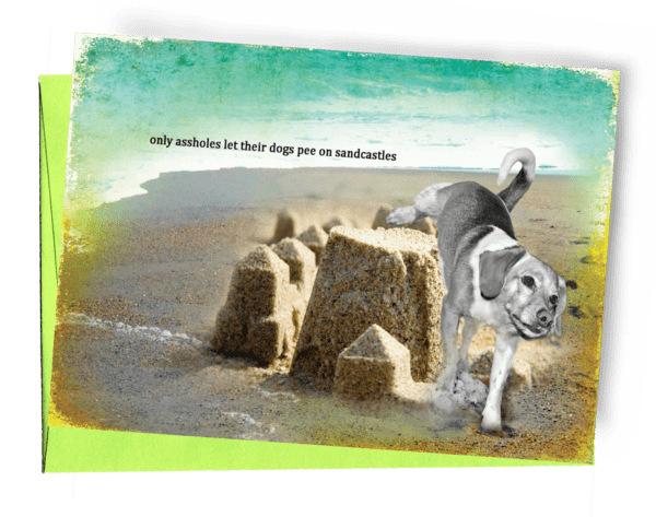 GREETING CARD, LIME-GREEN ENVELOPE. | SEA GREEN UPPER/SAND WITH SANDCASTLE LOWER/BEAGLE ‘PEEING’ ON CASTLE | OUTSIDE: “ONLY ASSHOLES LET THEIR DOGS PEE ON SANDCASTLES”/INSIDE: “…THANKS FOR NOT BEING AN ASSHOLE.”.