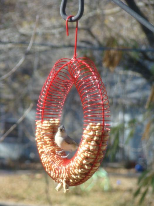Peanut wreath