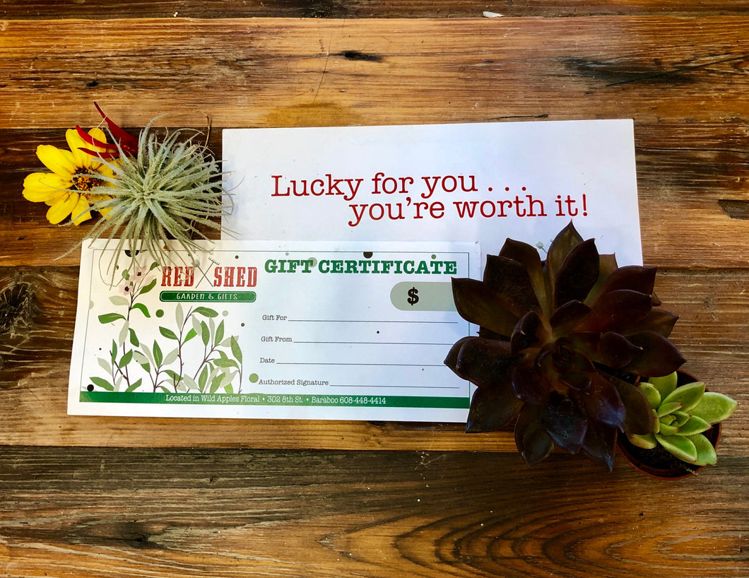 $75 VALUE RED SHED GARDEN AND GIFTS GIFT CERTIFICATE WITH ENVELOPE ON A WOODEN TABLE WITH AIR PLANT, SUCCULENT, AND FLOWER