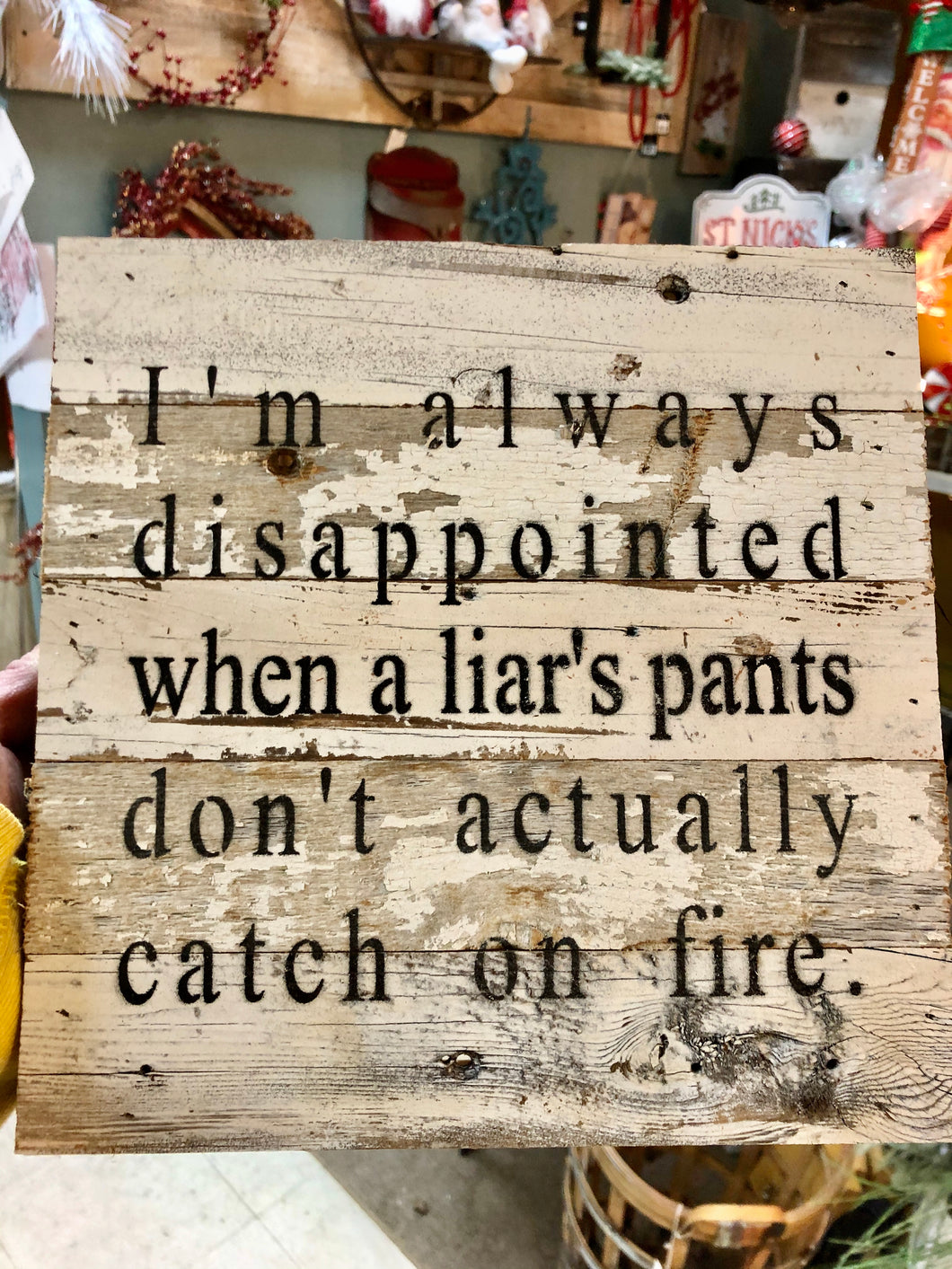 Disappointed When Liar's Pants Don't catch on Fire | Sarcastic Gift