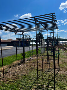 Metal Pergola with Trellis sides for your Garden -In Store Only!