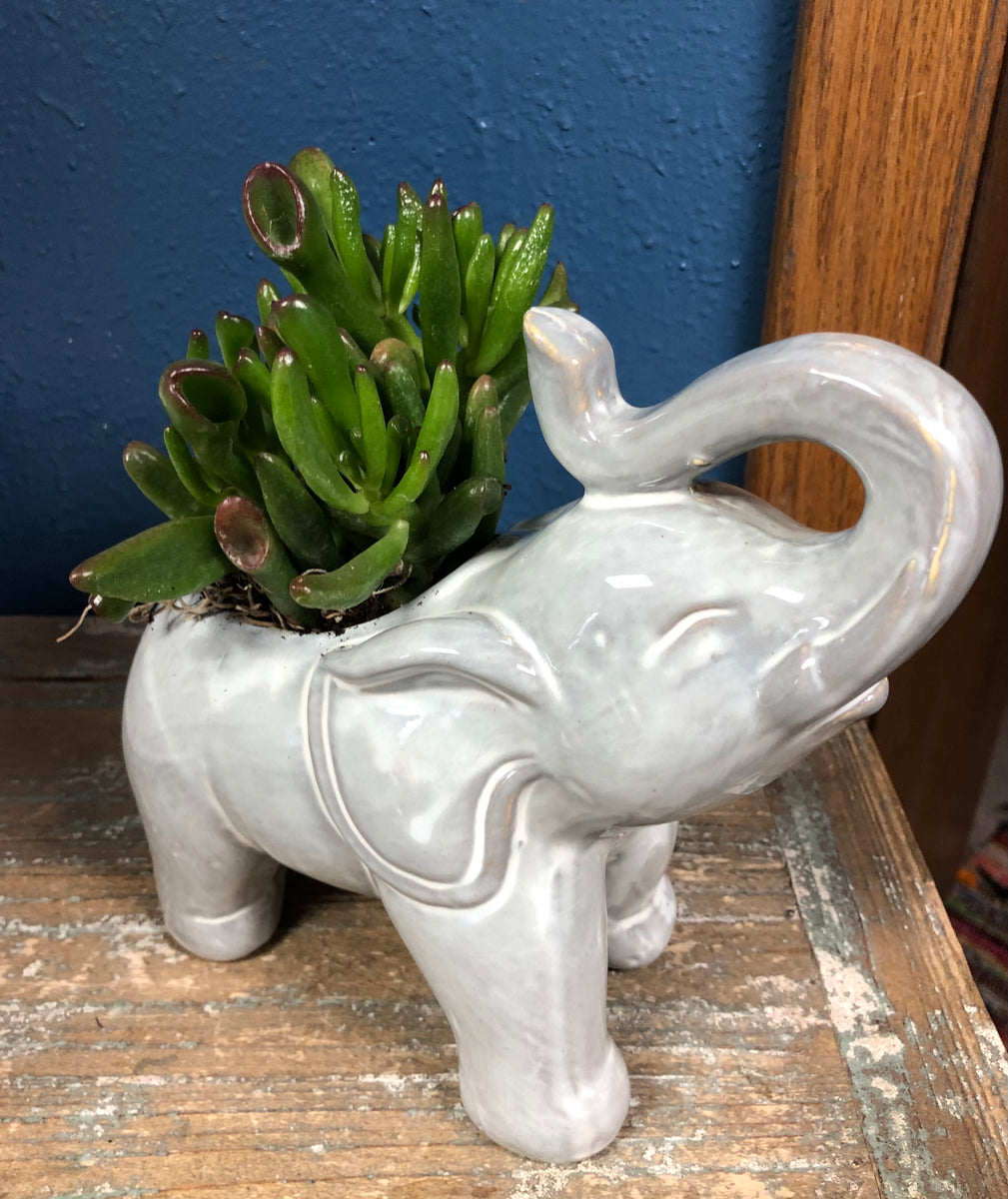 Ceramic Elephant Planter White Elephant Flower Pot
