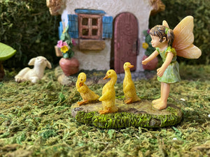 Fairy Garden l Wayward Ducks MG284