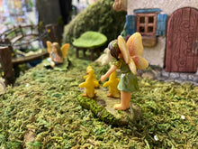 Load image into Gallery viewer, Fairy Garden l Wayward Ducks MG284