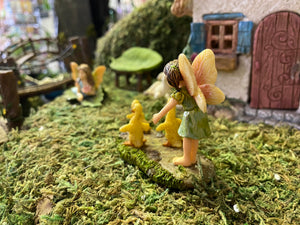 Fairy Garden l Wayward Ducks MG284