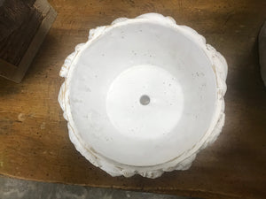 White Shallow Beach Shell bowl | Nautical