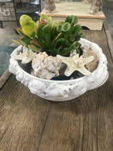 Load image into Gallery viewer, White Shallow Beach Shell bowl | Nautical