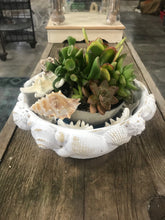 Load image into Gallery viewer, White Shallow Beach Shell bowl | Nautical
