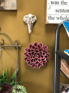 Wall mount or Table Top Ceramic Succulents