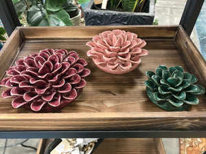 Wall mount or Table Top Ceramic Succulents