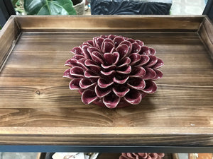 Wall mount or Table Top Ceramic Succulents