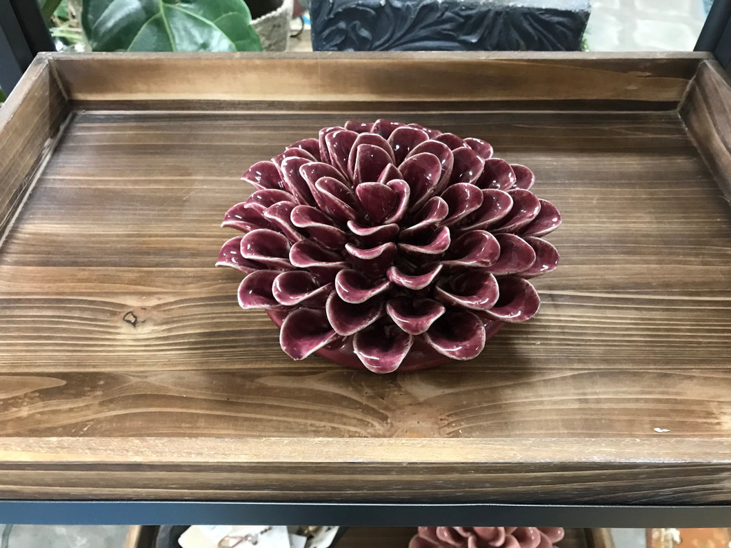 Wall mount or Table Top Ceramic Succulents