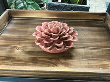 Load image into Gallery viewer, Wall mount or Table Top Ceramic Succulents