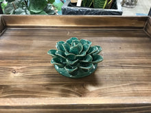 Load image into Gallery viewer, Wall mount or Table Top Ceramic Succulents