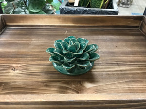 Wall mount or Table Top Ceramic Succulents