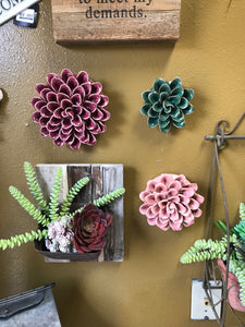 Wall mount or Table Top Ceramic Succulents