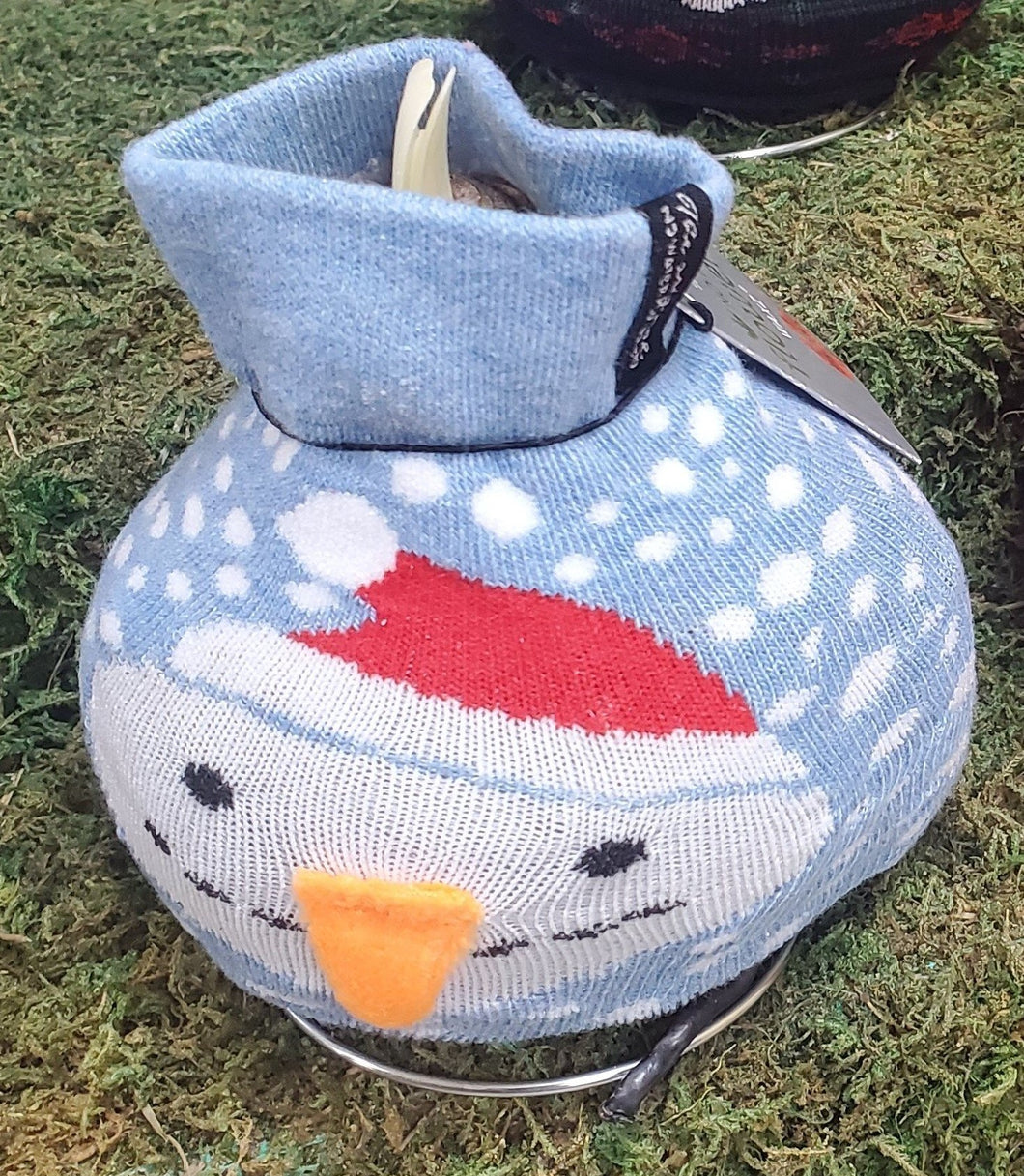 light blue sock with a snowman's face and snowflakes in the background over top of a wax coated amaryllis bulb