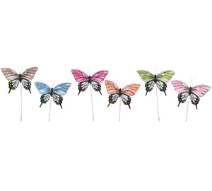 6 BUTTERFLY PICKS MADE WITH FEATHERS. THEIR COLORS ARE ORANGE, BLUE, TAUPE, MAGENTA, PURPLE, AND GREEN. THEY ARE 4.5 INCHES HIGH BY 7 INCHES WIDE BY 1” DEEP AND COME WITH A 10” HIGH WIRE PICK.