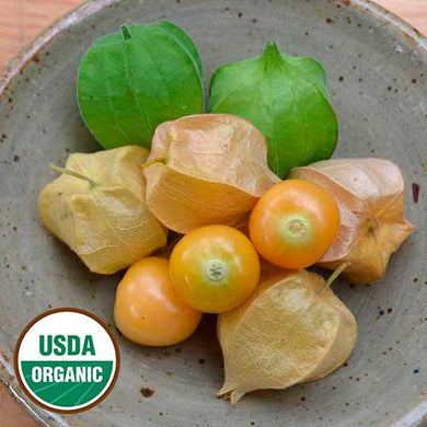 Organic Aunt Molly's Ground Cherry Seeds