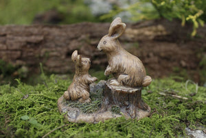Miniature Bunnies playing and Talking on a Tree Stump