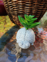 Load image into Gallery viewer, SMALL, TERRA COTTA W/CERAMIC GLAZE, 2 INCH BY 2 INCH, LADYBUG PLANTER. SITTING ON GLASS-TOPPED TABLE HOLDING A DARK GREEN LEAFED SUCCULENT.