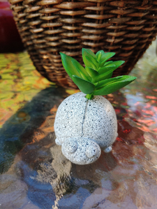 Small Ceramic  Succulent Planter | 2"