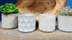 CLOSE-UP OF 4, 3" BY 3" , CERAMIC, SUCCULENT PLANTER POTS. THEY ARE GREY-BLUE POTS WITH LIGHT TAN DESIGNS. FROM LEFT TO RIGHT THE DESIGNS ARE ‘FLOWERS’ - SUCCULENT - DARK GREEN LEAVES WITH PINK TIPS | ‘CIRCLES’ – EMPTY | ‘SUNBURST’ – EMPTY | ‘DOTS’ – VELVETY-SILVER LEAVES WITH LIGHT BROWN SHADING. SOIL AND PLANTS SOLD SEPARATELY.