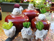 Load image into Gallery viewer, 6 SMALL, TERRA COTTA W/CERAMIC GLAZE PLANTERS. ANIMAL VARIETIES WITH SUCCULENTS |2 INCH BY 2 INCH. FROG IN BACK ON RED PLANTER WITH LIGHT GREEN PLANT|SNAIL LEFT MIDDLE ON RED PLANTER WITH REDISH-PURPLE PLANT|LADYBUG MIDDLE RIGHT ON REDPLANTER WITH BRIGHT GREEN PLANT|BIRD LOWER LEFT WITH LIGHT YELLOW-GREEN PLANT|OWL MIDDLE FRONT WITH FAT, SMOOTH LEAFED PLANT|TURTLE LOWER RIGHT FRONT WITH FAT, RIPPLED LEAFED PLANT.