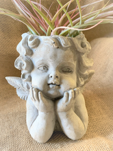 Load image into Gallery viewer, Classic Cherub Planter | Plant flowers in her Head 10&quot;