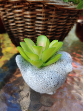 Load image into Gallery viewer, SMALL, TERRA COTTA W/CERAMIC GLAZE, 2 INCH BY 2 INCH, BIRD PLANTER. SITTING ON GLASS-TOPPED TABLE HOLDING A LIGHT YELLOW-GREEN LEAFED SUCCULENT.